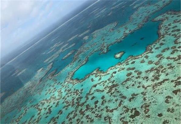 澳洲政府追加拨款10亿澳元拯救大堡礁     保护环境和就业