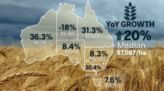 澳洲农场交易经历疯狂一年： 涨幅表现超股票房地产 换手面积近维州一半