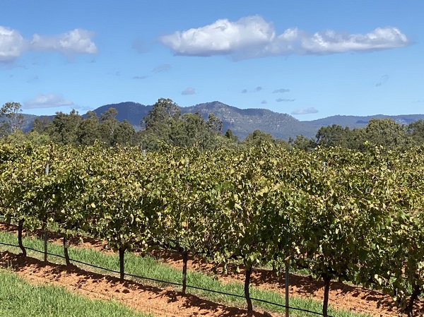 贺兰山东麓15款葡萄酒开拓澳大利亚市场 