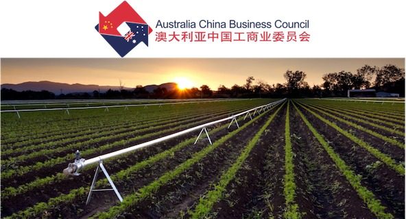 戴维·奥尔森当选澳大利亚中国工商业委员会新主席 