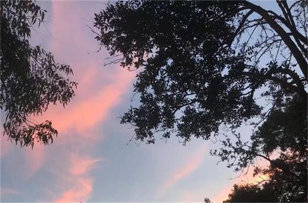 深圳：警惕以稳定币等名义实施非法集资