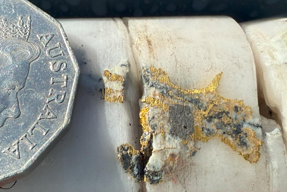 【异动股】Falcon Metals Ltd (ASX:FAL)暴涨97%：Blue Moon首个楔形孔钻得543克/吨超高品位黄金矿块 