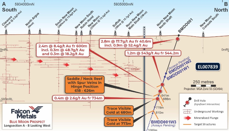 【异动股】Falcon Metals ( ASX:FAL)维州Blue Moon矿床多个堆叠矿脉中发现可见金   