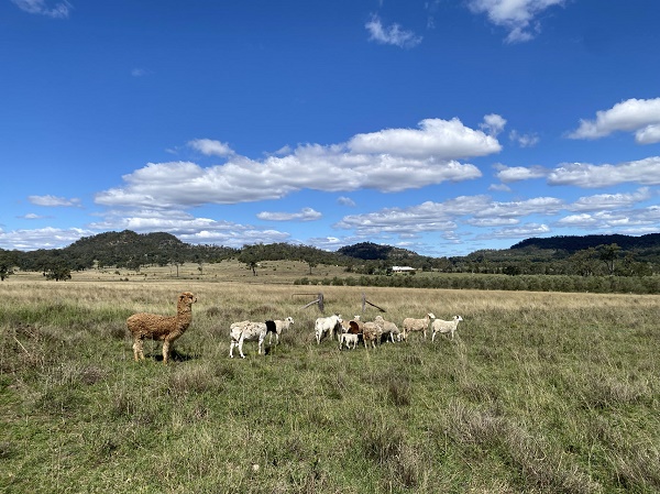 【异动股】强劲扭亏！婴儿奶粉公司Bubs Australia (ASX:BUB) 首次实现税后盈利 美中市场销售额大幅增长 