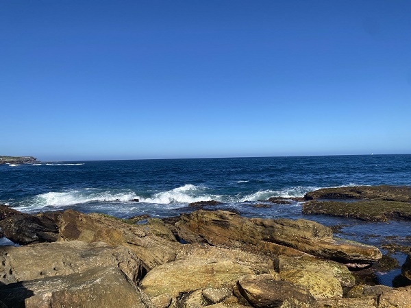 China-Australia service trade, a sophisticated symphony  
