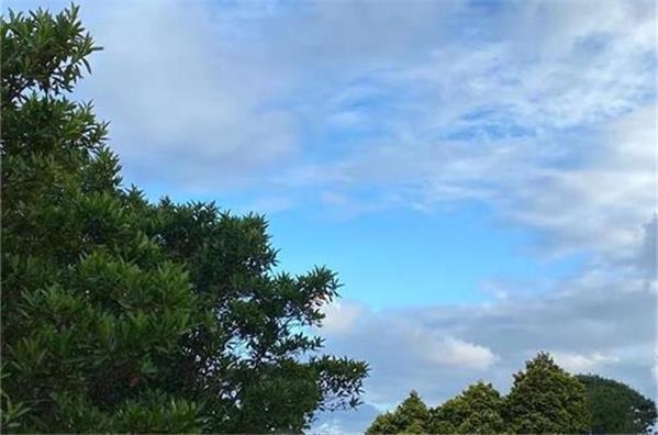 中央网信办部署开展“清朗·整治恶意挑动负面情绪问题”专项行动 