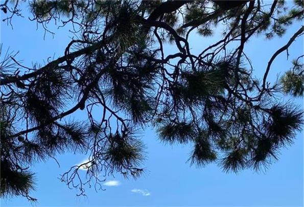 网信部门依法查处今日头条平台破坏网络生态案件 