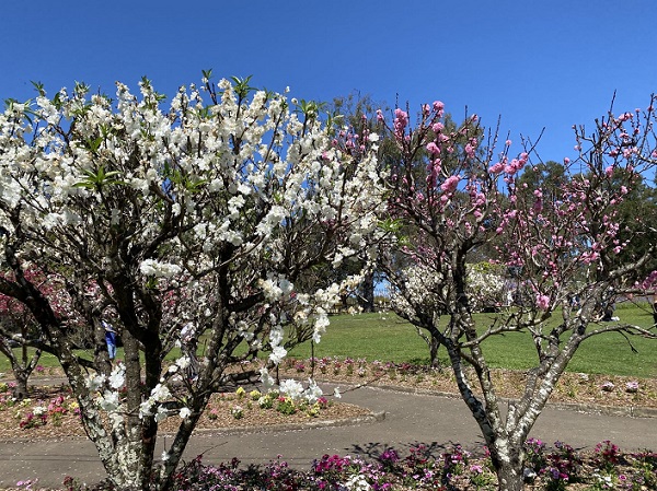 河南印发重点文旅产业链群建设三年行动方案