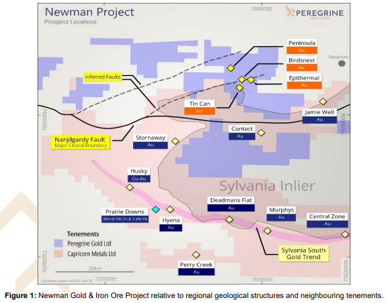 【异动股】Peregrine Gold (ASX:PGD)西澳Newman项目发现重要铁矿床且金异常区域不断扩大 