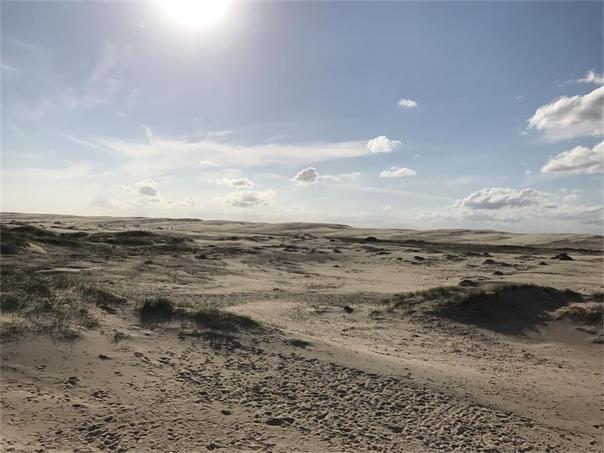 【异动股】Liontown Resources (ASX:LTR）四连涨：通过Metalshub平台开展首期1万吨锂辉石精矿拍卖 