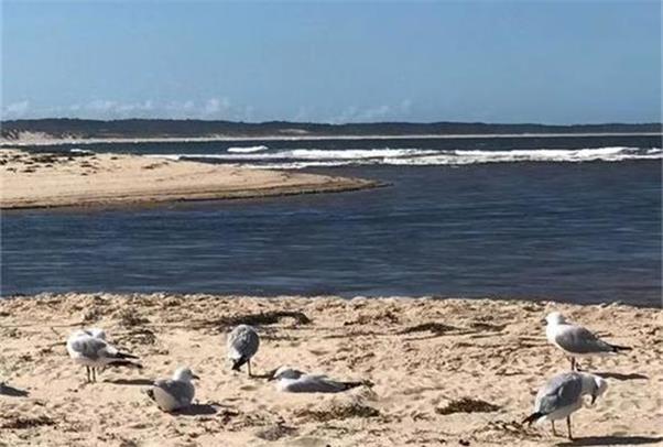 【异动股】水涨船高！DGR Global(ASX:DGR)旗下铜矿公司SolGold估值重估引发其股价暴涨 