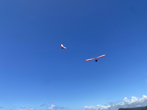 优质座位为何选不上？江苏省消保委约谈10家航空公司 