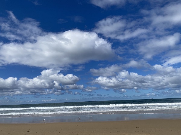 【异动股】暴跌之后惊艳反弹 Droneshield (ASX:DRO)加推强制性最低持股政策 努力收复股东信心  