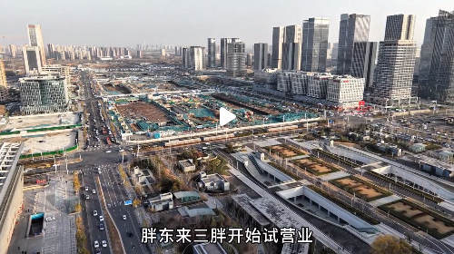 张占仓：现代商圣胖东来现象再次引发关注 