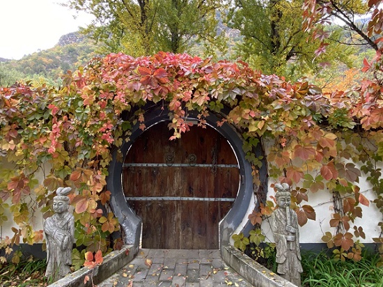 牧童短笛 || 张三铁：节用惜资源 爱人促共生 