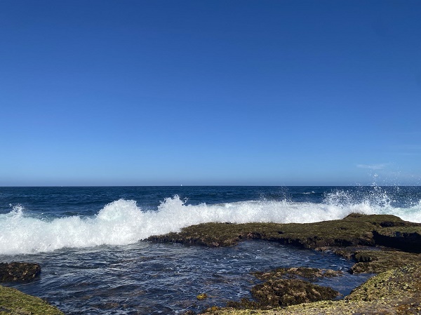 澳媒:力拓、Fortescue更改中国市场铁矿石定价基准指数