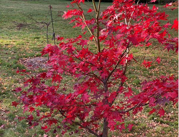 全球“黑天鹅”！证监会最新发布！中国资产大爆发！影响一周市场的大消息 