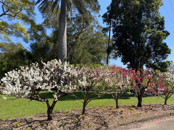 原中化集团党组成员、副总经理冯志斌严重违纪违法被开除党籍 