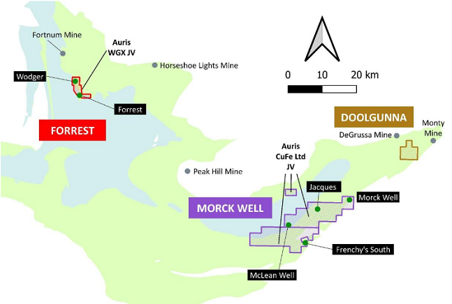【异动股】开年大涨引澳交所质询 Auris Minerals(ASX:AUR)深入发掘西澳州铜金稀土勘探机遇获机构力挺 