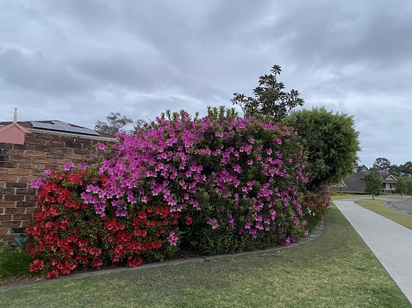 2026变化纷繁之年：值得投资者和自住购房者警惕的澳洲房地产六大新趋势 