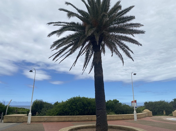 快讯：美联储主席鲍威尔遭刑事调查 市场剧烈震荡 