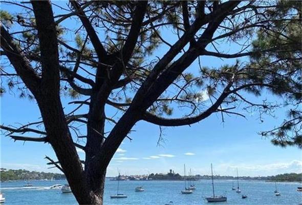 澳工业部公布12亿澳元关键矿产战略储备计划 首批矿物包括锑、镓和稀土元素 