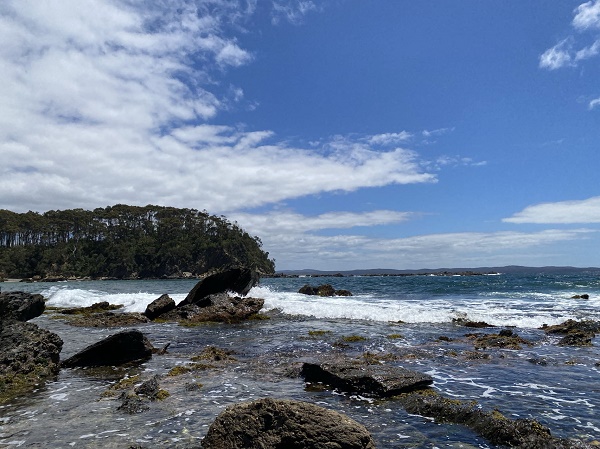 【异动股】Elevra Lithium(ASX:ELV)优化矿区扩建开发途径 预计提前两年实现31.5万吨锂辉石产量目标 