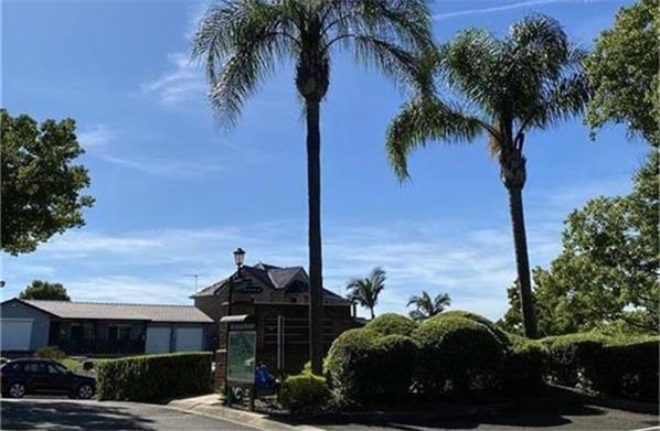 澳洲召回一款含甲醇免洗洗手液  NSW Health 提醒公众立即停用 Dr Schwartz 产品 