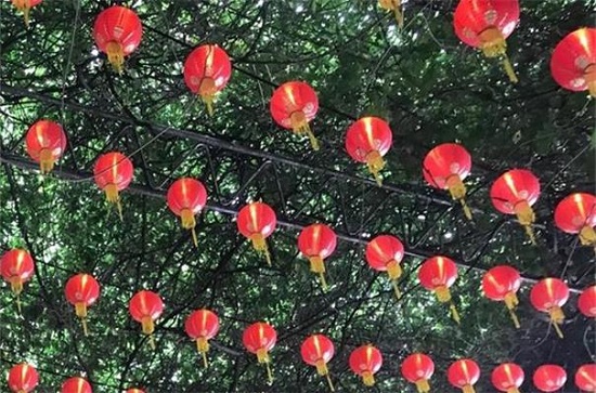 百度推出春节现金红包活动 总额达5亿元