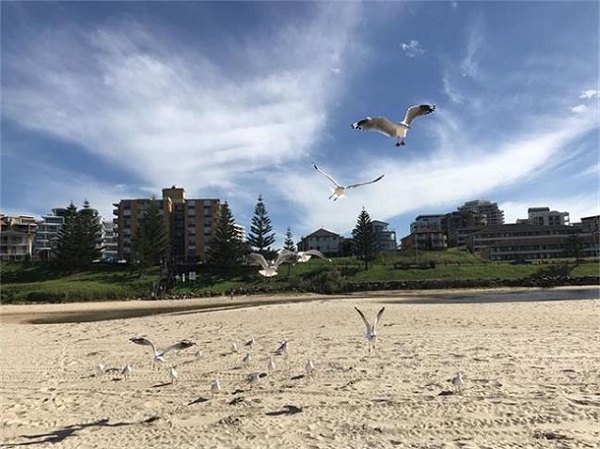 港股逆市走强突破关键阻力位  恒生指数创2022年11月以来新高 