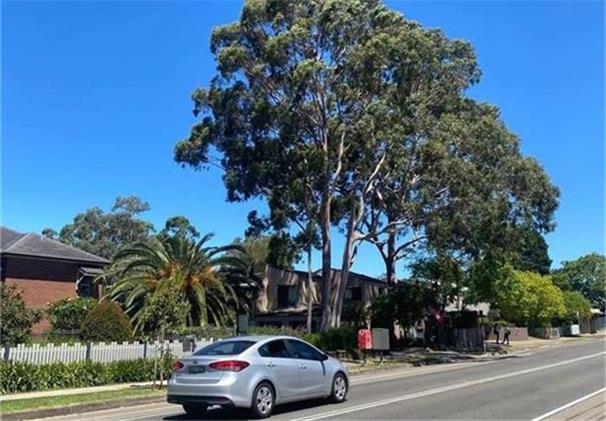 澳元显著上涨对澳企形成重大考验 2月财报季赢家输家几何?