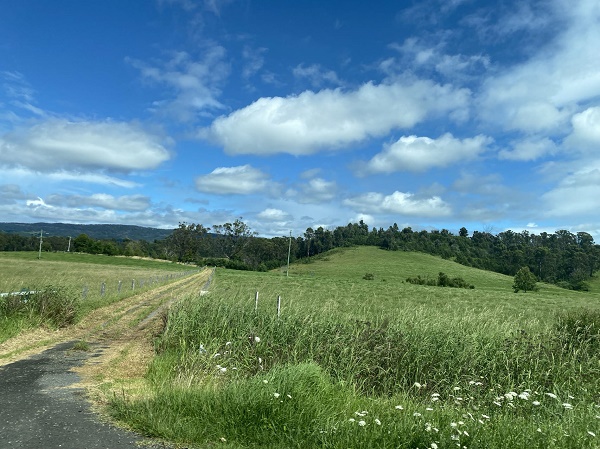 全球粮食供过于求挤压利润表现 澳谷物处理巨头GrainCorp盈利预警股价暴跌