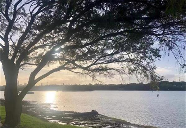 特朗普推出120亿美元稀土储备计划 澳交所关键矿产股再掀普涨行情 