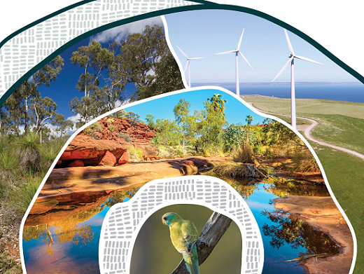 EV电动汽车补贴推动全澳交通排放量“罕见”下降