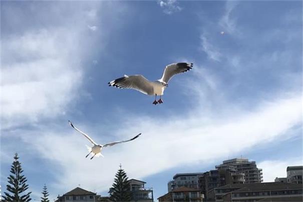 中国商务部回应近期将举行的第六轮中美经贸磋商 