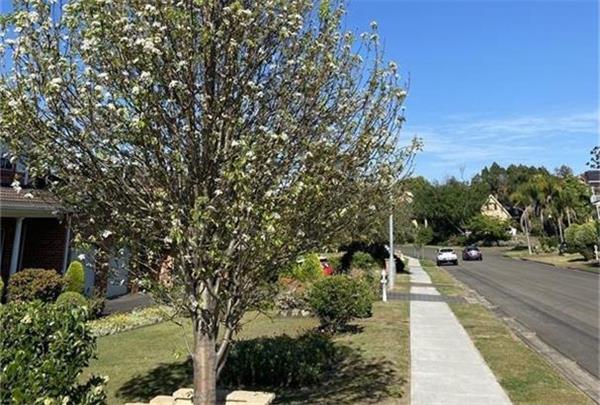 【异动股】镓矿勘探公司Nimy Resources (ASX:NIM)高管随西澳矿产石油部长赴美访问 