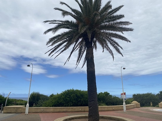 美联储维持利率不变 鲍威尔强调通胀风险与不确定性 美股三大指数下跌 道琼斯指数创出年内新低 