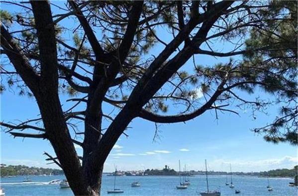 Calix Limited（ASX: CXL）完成Zesty项目首个里程碑 获ARENA 200万澳元政府拨款 