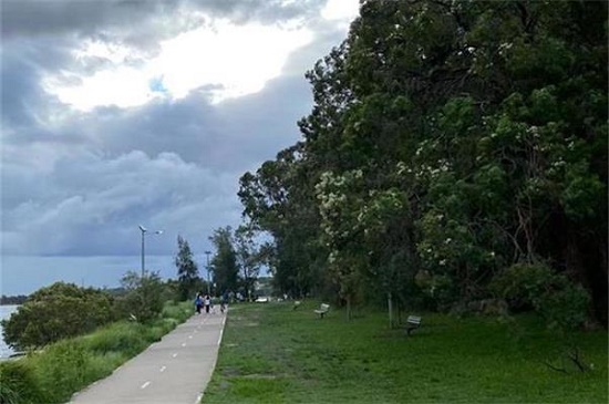 传中国新希望与欢乐家有意联手竞购澳洲食品饮料集团Made Group 