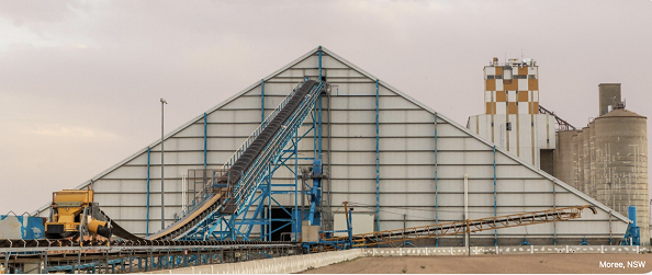 GrainCorp (ASX：GNC)中期净利骤降九成 全球谷物供应过剩引发农户惜售潮 澳东海岸谷物处理量大幅收缩 
