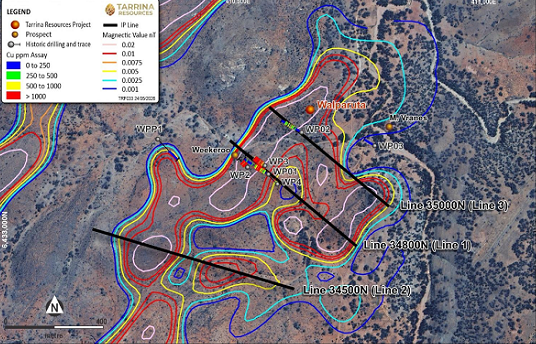 【异动股】Tarrina Resources（ASX:TR8）暴涨47%  IP测量有力印证南澳Walparuta铜金项目IOCG型矿种勘探潜力 