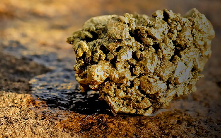 Theta Gold Mines（ASX：TGM）首期5120万澳元债券资金提取到账 南非610万盎司TGME金矿2027年Q1首金产出按下“加速键”