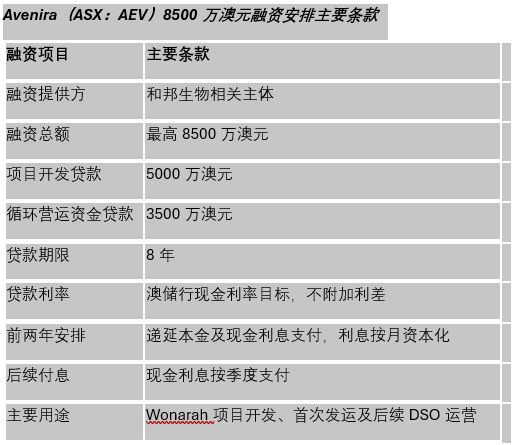 【异动股】 和邦生物再出大手笔!8500万澳元融资助推Wonarah磷矿开发 Avenira(ASX:AEV)股价盘中飙升逾五成 终盘上涨23.08%